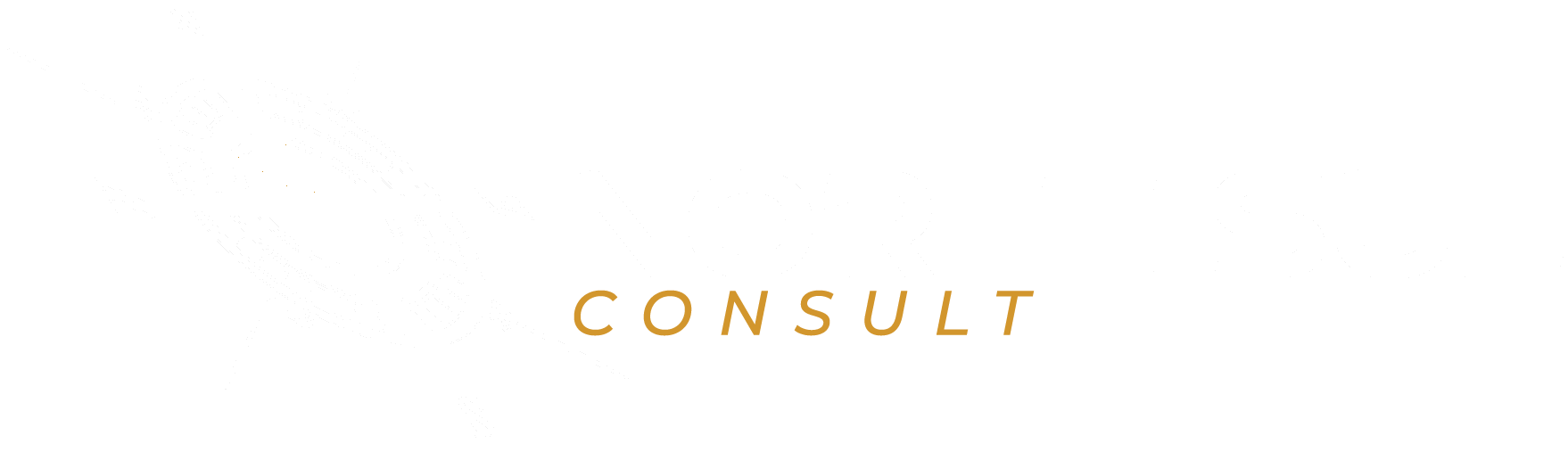 Norte Sul Consult